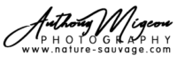 ns_signature ns_signature