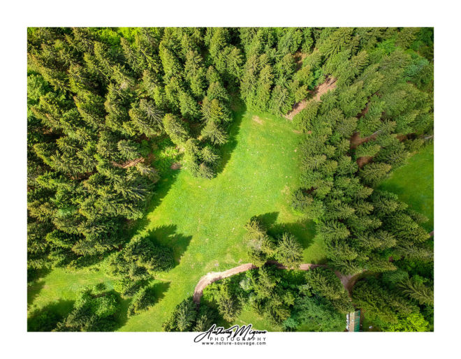 DCIM/100MEDIA/DJI_0201.JPG