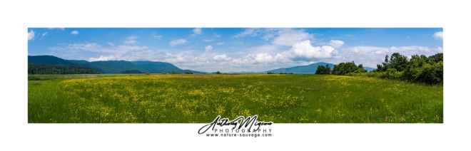 NAT20180524115303_anthonymigeon-Panorama