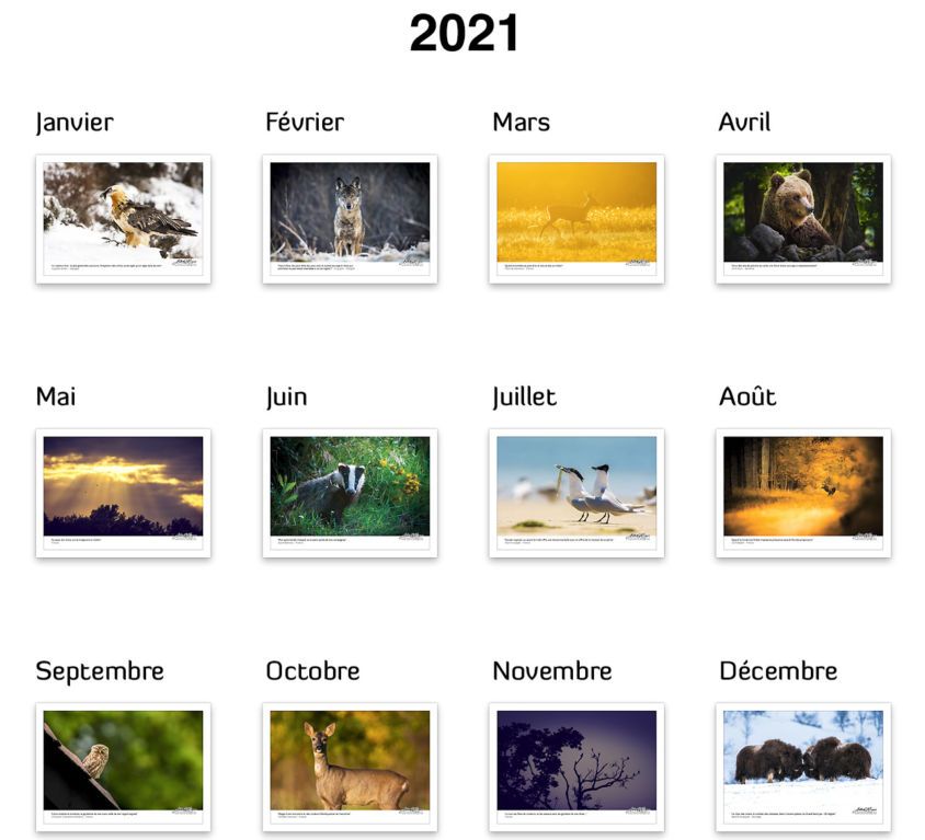 2021 Calendar