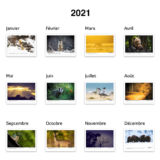 2021 Calendar