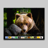 2019 Calendar