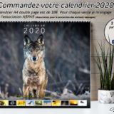 2020 Calendar
