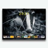 2021 Calendar