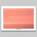 Ocean poetry