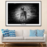 In the eyes of the wolf
